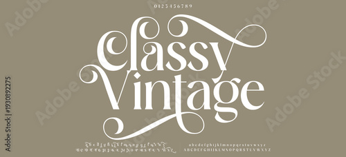 Elegant alphabet letters font. Classic Modern Serif Lettering Minimal Fashion Designs. Typography  decoration fonts for branding, wedding, invitations, logos. vector illustration