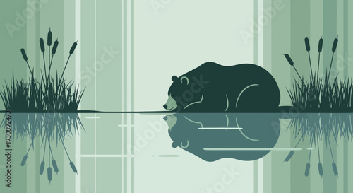 Peaceful Bear Reflection Serene Nature Wildlife Calmness