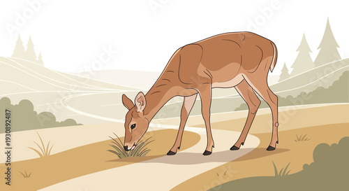 Peaceful Deer Grazing in Serene Woodland Landscape Illustration