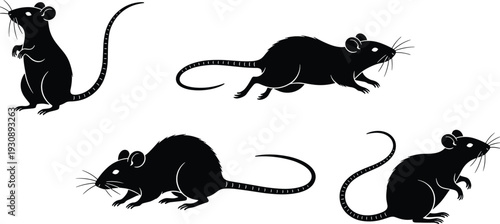 Black mouse silhouettes set with various poses like standing running and sitting, vector rat icons for pest control wildlife nature and laboratory research design