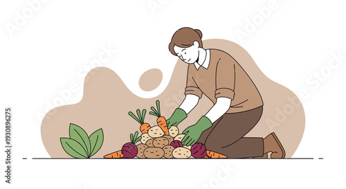Person Harvesting Fresh Root Vegetables From Garden Patch