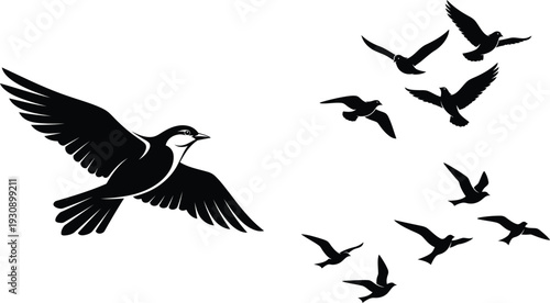 a flock of birds flying in the air together in different directions