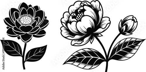black and white flowers and leaves illustrations