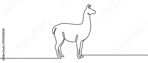 Llama animal continuous line drawing minimalist style illustration showcasing the elegant profile of this South American mammal in a modern graphic design.