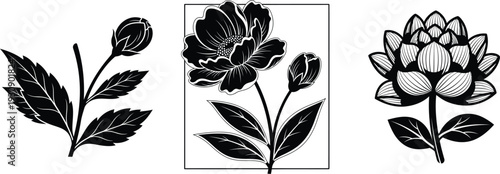 black and white illustrations of flowers and leaves on white background