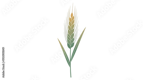 Stylized wheat stalk with gradient color against white background