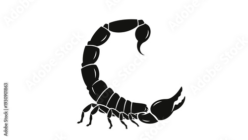 Scorpion Silhouette Icon