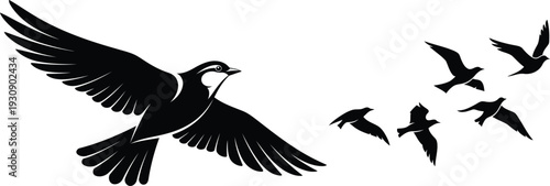 black silhouette of birds flying in formation on transparent background