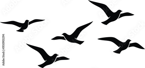 seagulls flying in formation on white background
