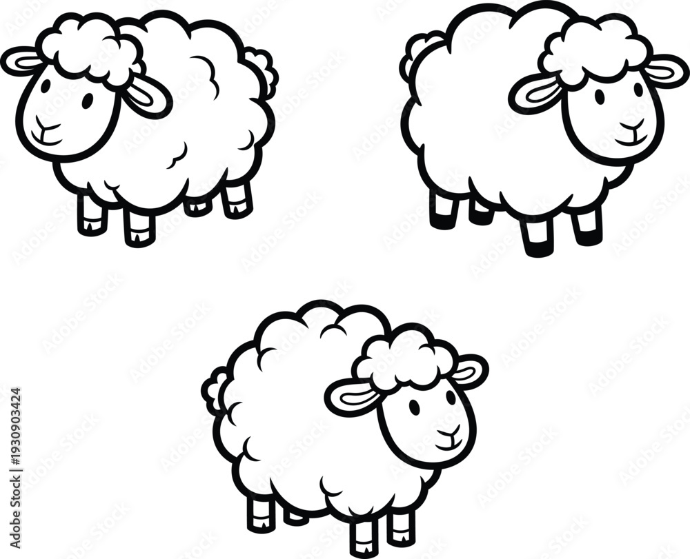 Fototapeta premium Three cartoon sheep standing in different poses and looking around simple line art