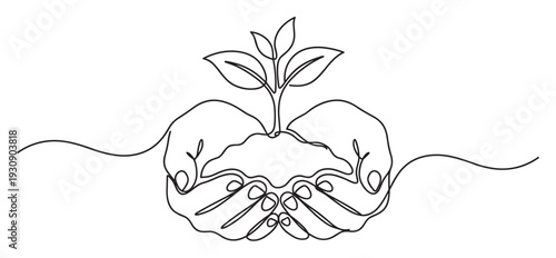 Human hands holding a small green plant growing from soil, symbolizing environmental protection, new life, and sustainable development.