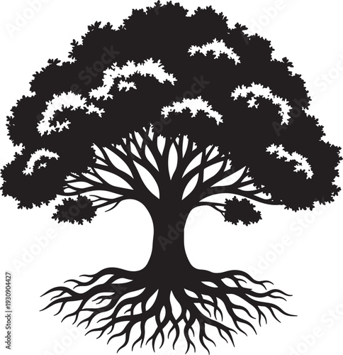 Black silhouette of a large tree with extensive roots and leafy canopy against a white background also transparent background
