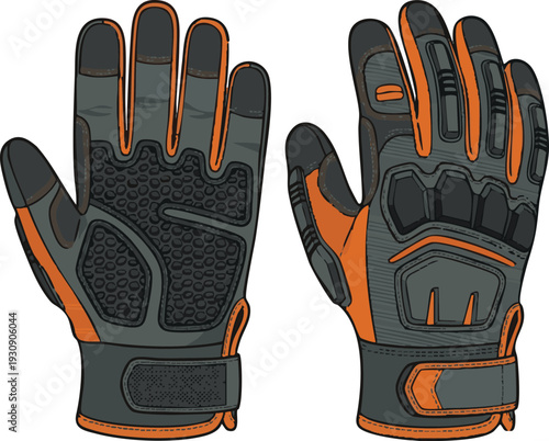 Anatomical illustration of the human pelvis, meticulously detailing the bony structure of the hip and its crucial components within the skeletal system for medical and educational contexts