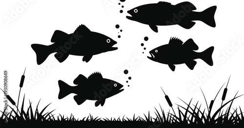 Underwater freshwater fish silhouette illustration with aquatic plants and bubbles, black vector lake wildlife scene isolated on white background design