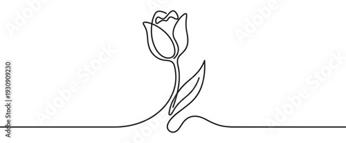 Beautiful tulip flower drawn in continuous line art style, symbolizing elegance, growth, and natural beauty with minimalist design.