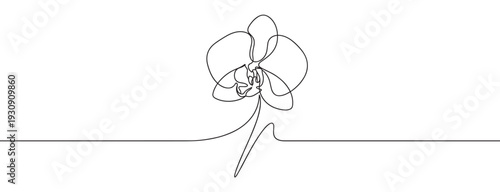 Elegant orchid flower line art drawing with a continuous single black line creating a beautiful floral design.