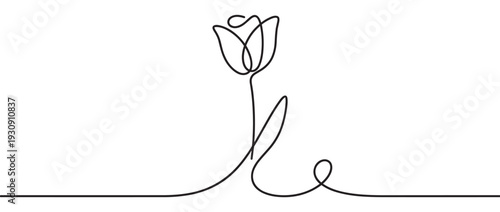 Continuous line drawing tulip flower with an elegant stem and delicate petals creating a beautiful minimalist floral design perfect for various creative projects.