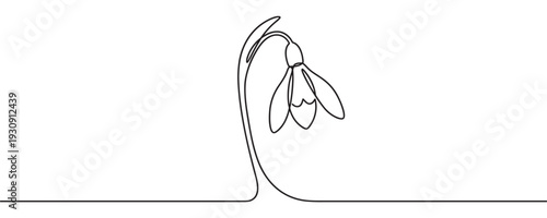 Delicate snowdrop flower drawn in a continuous line style, symbolizing spring, purity, and new beginnings with minimalist elegance.