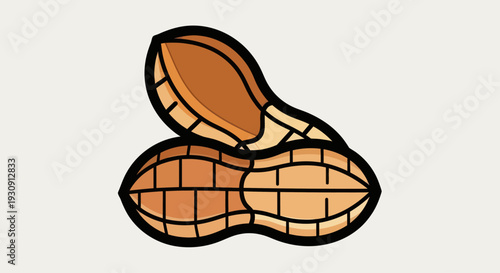 Peanuts in Shell Cartoon Illustration.