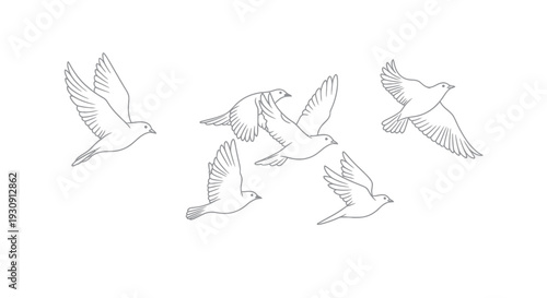 Group of Seagulls Flying in Formation.