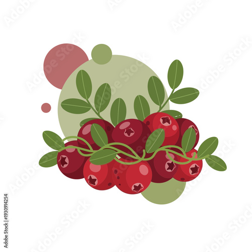 Vibrant Arrangement of Freshly Picked Cranberries with Foliage and Abstract Geometric Shapes