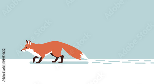 Vulpine Wanderer In Snowy Winter Landscape With Tail Trail