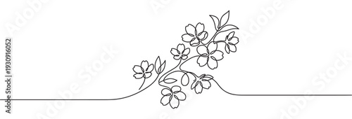 Flowering branch continuous line drawing illustration with delicate blossoms and leaves creating an elegant minimalist design.