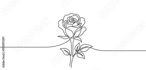 Continuous line drawing rose flower illustration showcasing elegant botanical beauty with a minimalist artistic style and flowing design.