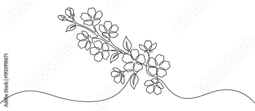 Continuous line drawing flowering branch with delicate blossoms and leaves creating an elegant minimalist spring illustration.
