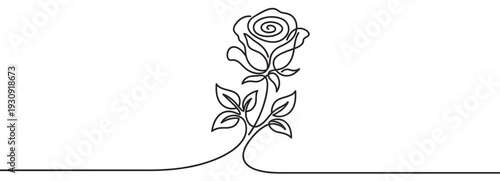 Single rose flower minimalist continuous line drawing illustration blooming with elegant simplicity and artistic flair.