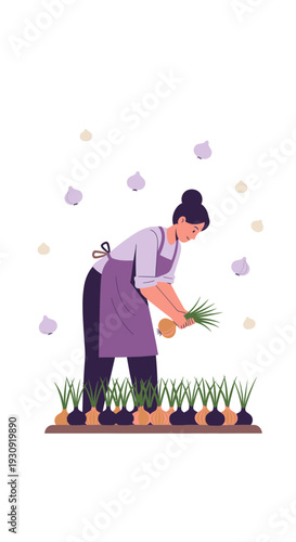 Woman Harvesting Fresh Onions From Garden Bed