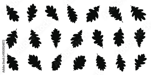 Collection of autumn oak leaves silhouettes in various orientations and styles
