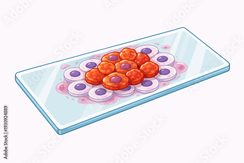 Microscope slide with red and white blood cells, scientific illustration