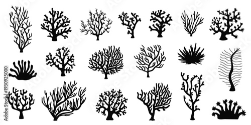 Collection of black coral and sea anemone illustrations for marine biology and underwater design