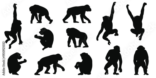 Collection of diverse monkey silhouettes in various dynamic poses, jungle primates in motion