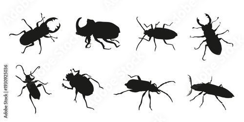 Collection of diverse beetle silhouettes vector illustration