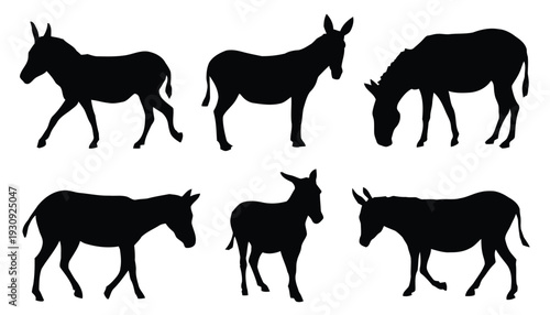 Collection of donkey silhouettes in different poses on white background