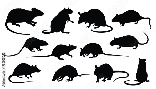 Collection of black rat silhouettes in various poses on a white background