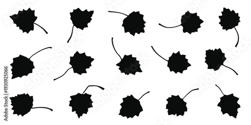 Collection of black silhouette aspen leaves with stems scattered on white background vector illustration