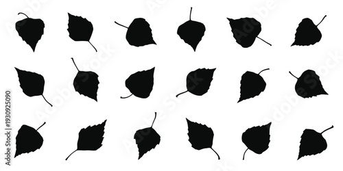 Collection of black silhouette birch leaves with stems on white background vector artwork