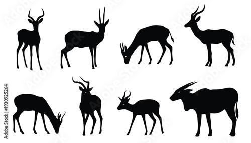 Collection of graceful antelope silhouettes in various poses and activities