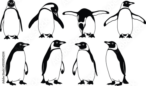 Penguin Collection Different Poses Vector Graphic Commercial
