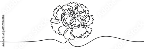 Continuous line art drawing carnation flower in a minimalist style, perfect for elegant design elements and decorative patterns.