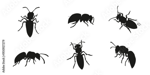 Collection of insect silhouettes including ants and wasps, nature wildlife
