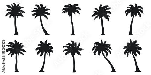 Collection of palm tree silhouettes in various poses and shapes for tropical beach scenes