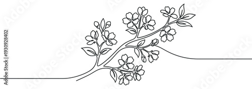 Flowering branch continuous line drawing illustration with delicate blossoms and leaves representing spring growth and natural beauty.
