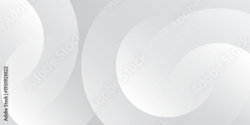 Abstract white and gray color background. Eps10 vector