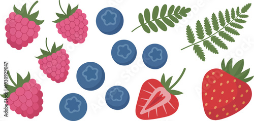 Berry Fruits and Fern Leaves Vector Set with Strawberry Blueberry Raspberry in Flat Style Illustration