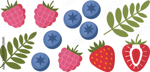 Berry Fruits and Fern Leaves Vector Set with Strawberry Blueberry Raspberry in Flat Style Illustration