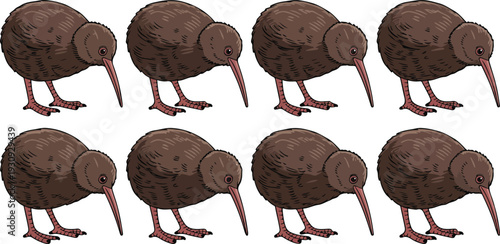 Kiwi Bird Character Vector Set Featuring New Zealand Flightless Wildlife Animal in Different Poses Cute Flat Cartoon Style